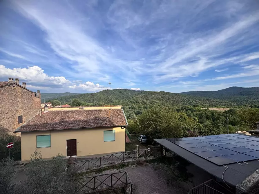 Immagine 4 di Appartamento in vendita  a Monticiano