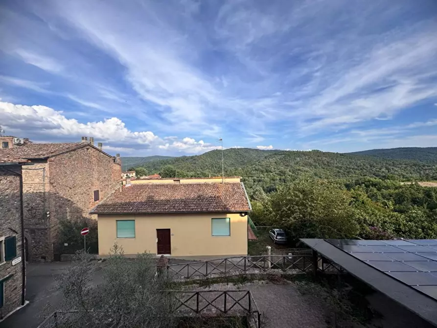 Immagine 6 di Appartamento in vendita  a Monticiano