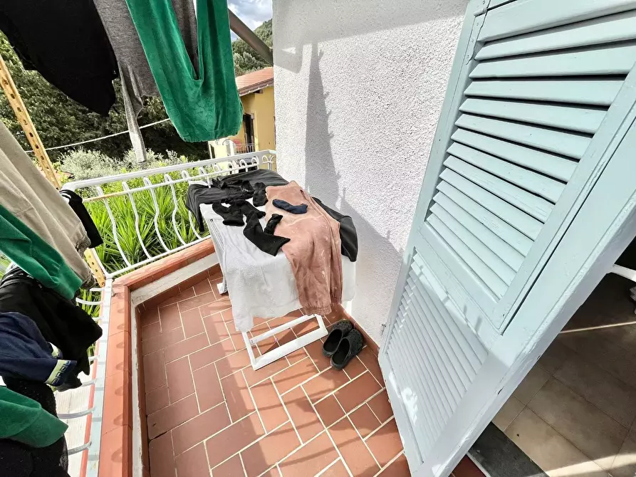 Immagine 17 di Terratetto in vendita  a Massa