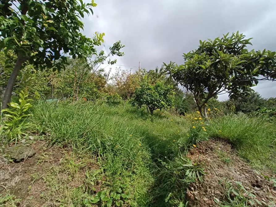 Immagine 34 di Casa bifamiliare in vendita  a Massa