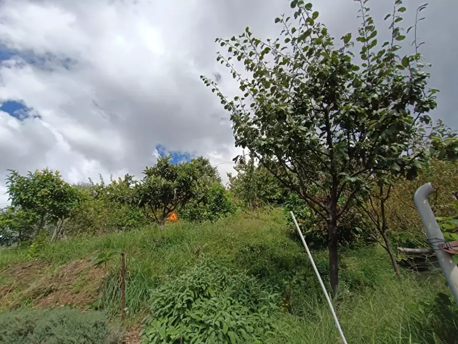 Immagine 31 di Casa bifamiliare in vendita  a Massa