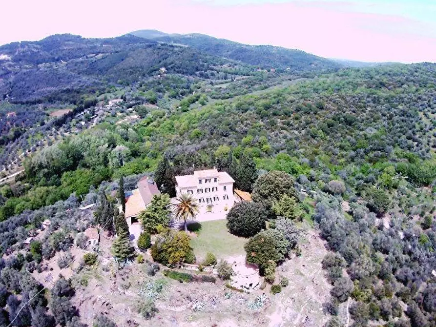 Immagine 1 di Terratetto in vendita  a Campiglia Marittima