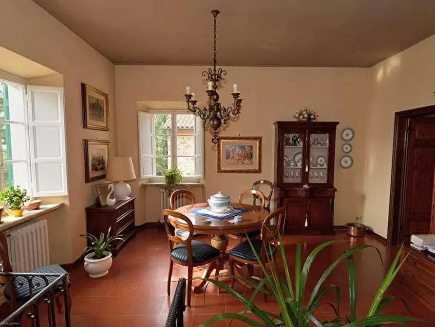 Immagine 9 di Terratetto in vendita  a Campiglia Marittima