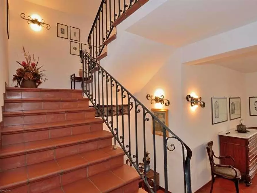 Immagine 21 di Terratetto in vendita  a Campiglia Marittima