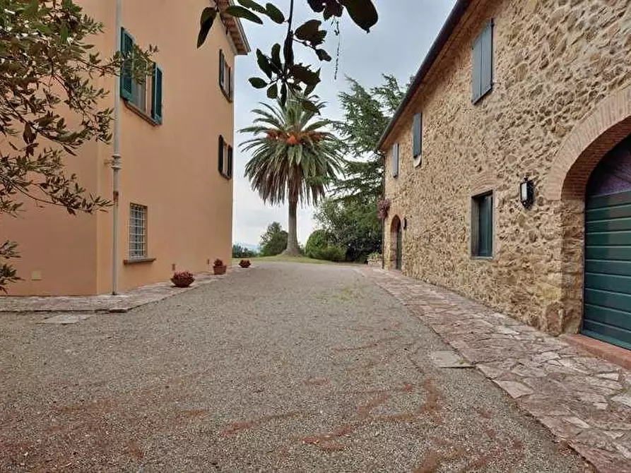 Immagine 46 di Terratetto in vendita  a Campiglia Marittima