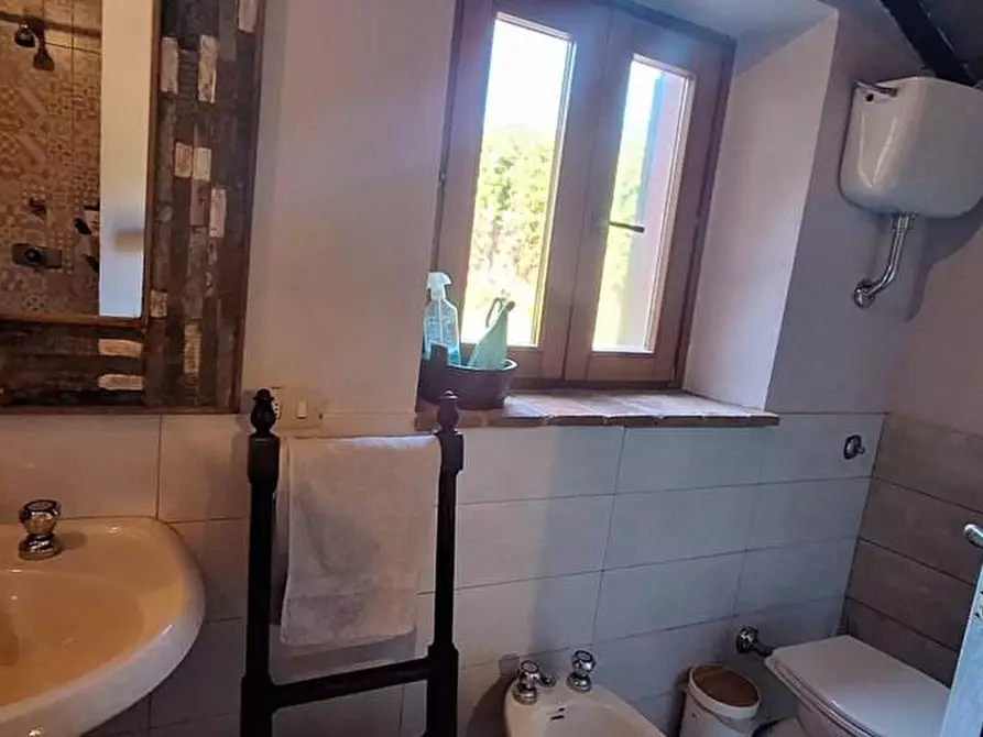 Immagine 18 di Casa colonica in vendita  a Pescaglia