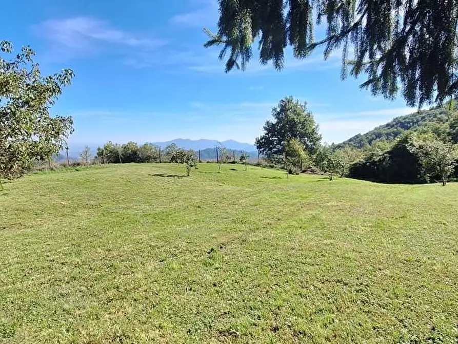 Immagine 11 di Casa colonica in vendita  a Pescaglia