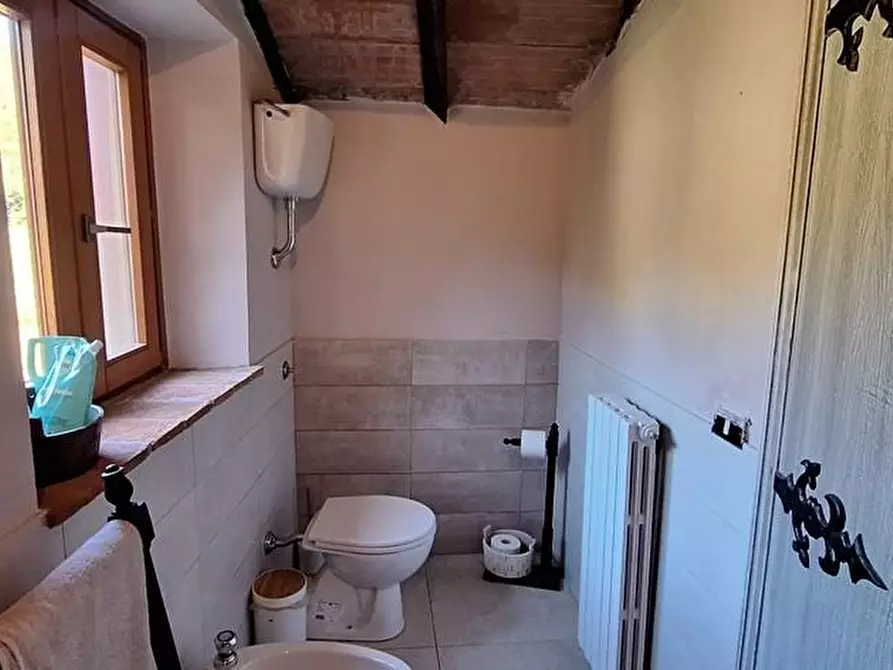 Immagine 19 di Casa colonica in vendita  a Pescaglia