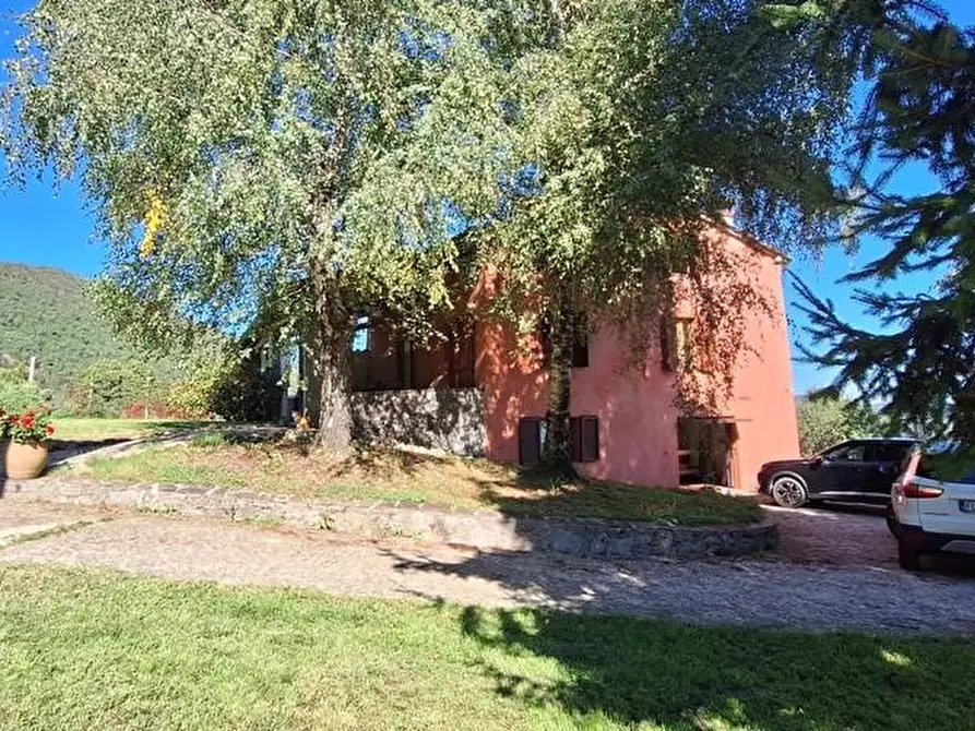 Immagine 10 di Casa colonica in vendita  a Pescaglia