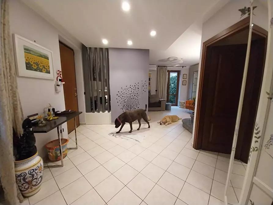 Immagine 9 di Villa in vendita  a Calci