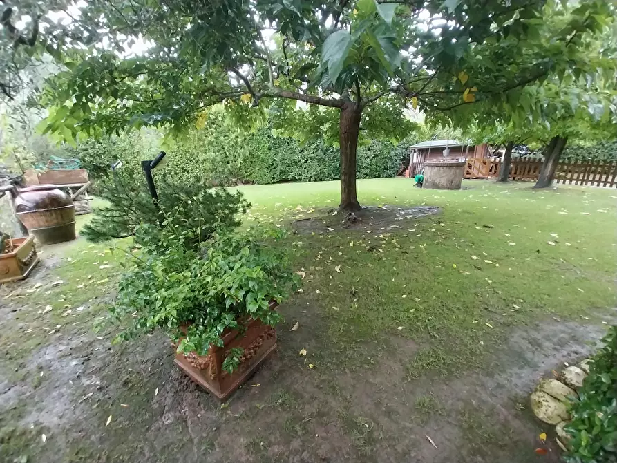 Immagine 2 di Villa in vendita  a Calci