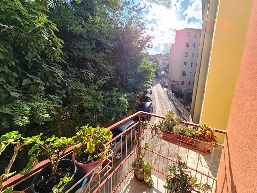 Immagine 1 di Appartamento in vendita  a Siena