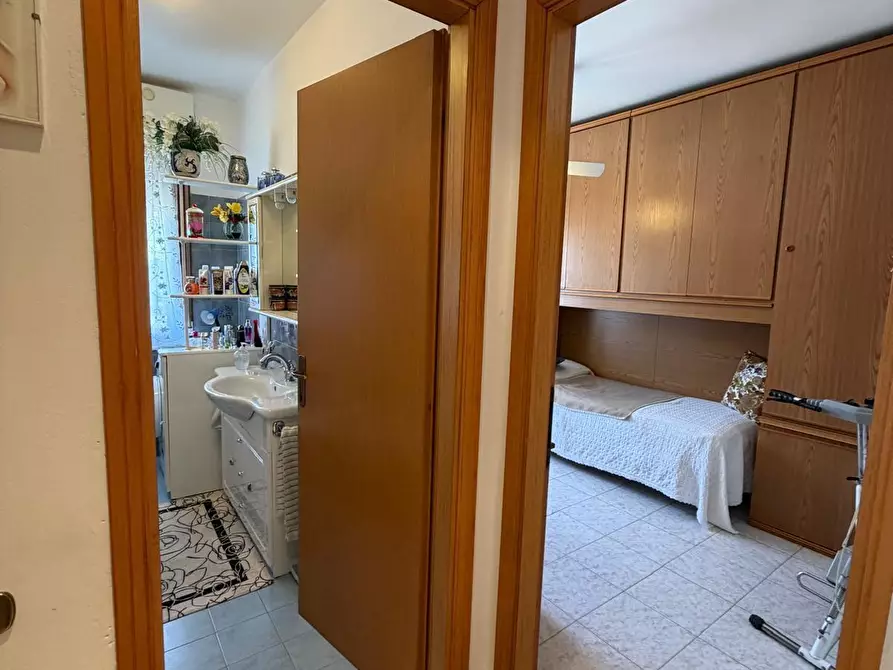 Immagine 12 di Appartamento in vendita  a Castagneto Carducci