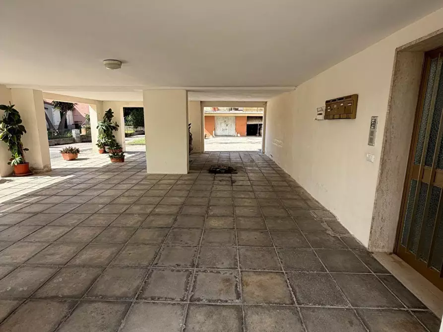 Immagine 21 di Appartamento in vendita  a Castagneto Carducci