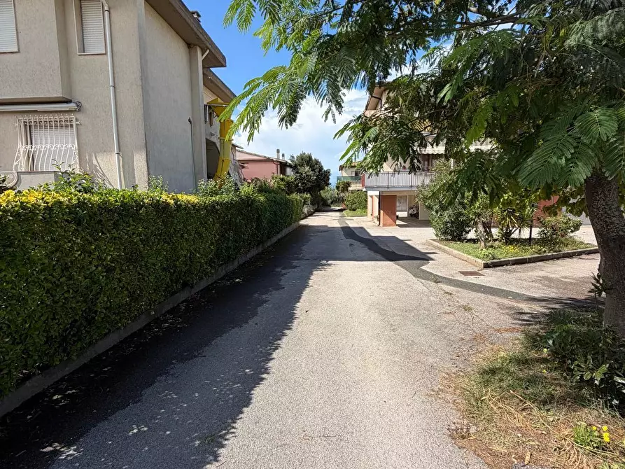 Immagine 24 di Appartamento in vendita  a Castagneto Carducci