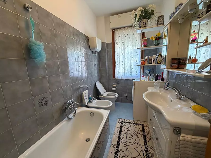 Immagine 16 di Appartamento in vendita  a Castagneto Carducci