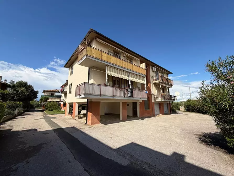 Immagine 23 di Appartamento in vendita  a Castagneto Carducci