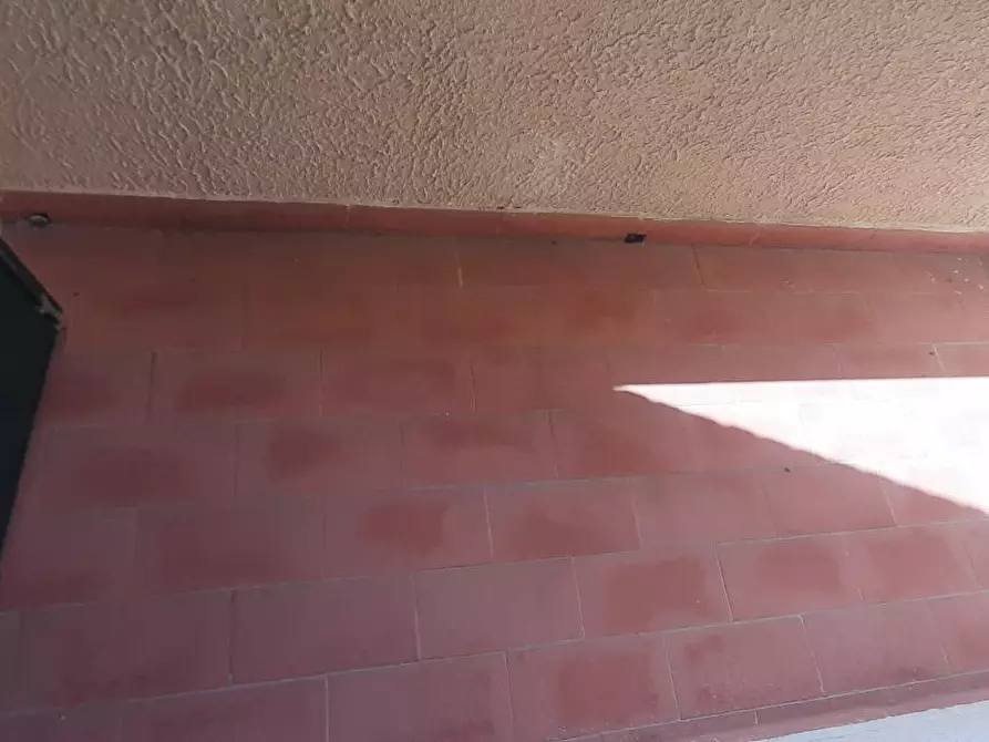 Immagine 33 di Terratetto in vendita  a Rosignano Marittimo