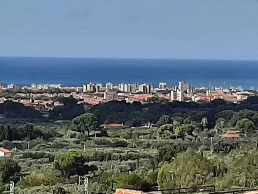 Immagine 60 di Terratetto in vendita  a Rosignano Marittimo