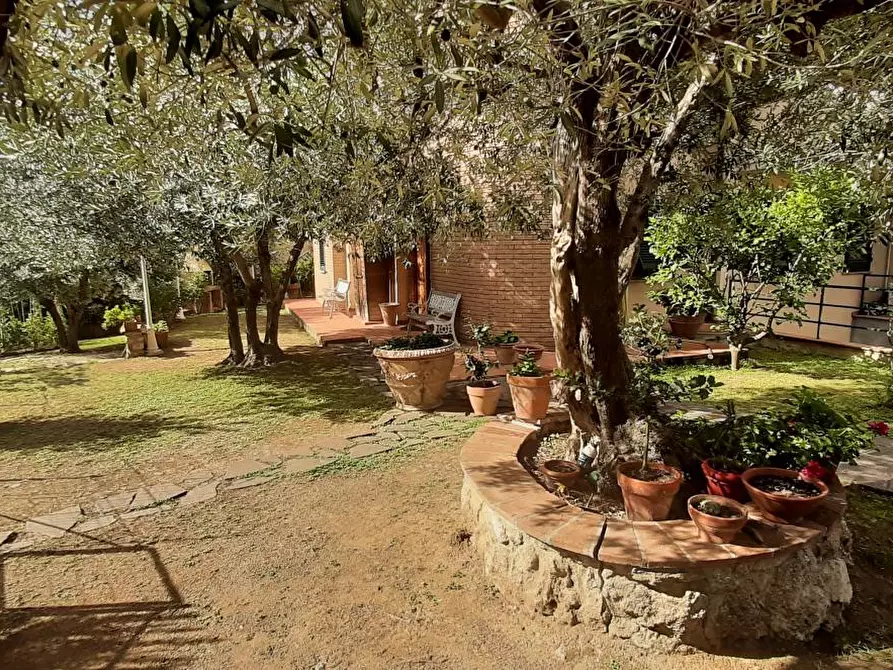 Immagine 2 di Terratetto in vendita  a Rosignano Marittimo