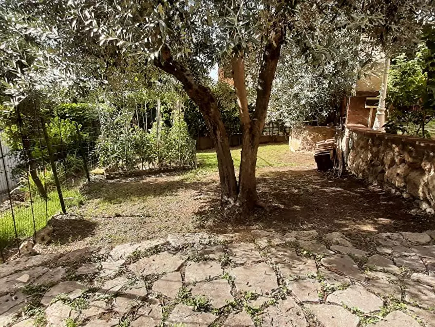 Immagine 58 di Terratetto in vendita  a Rosignano Marittimo