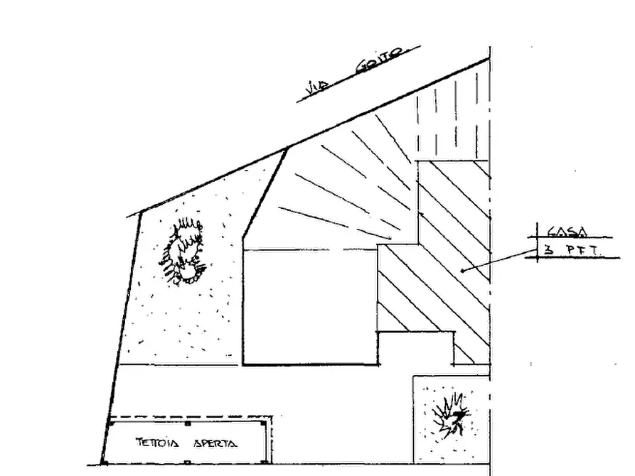Immagine 11 di Appartamento in vendita  a Grugliasco