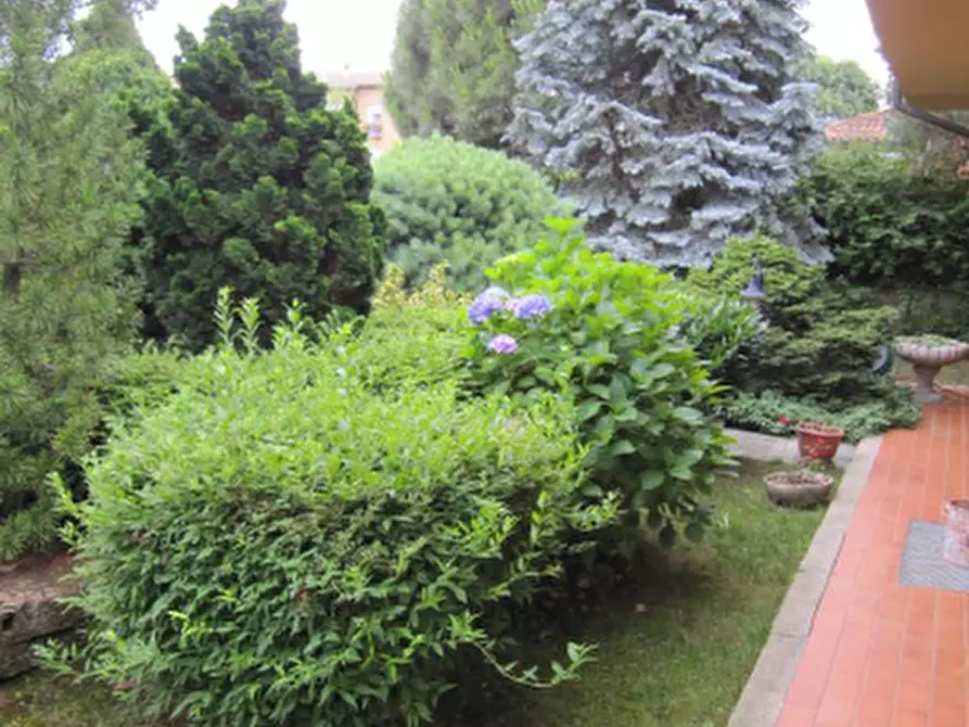 Immagine 3 di Villa in vendita  a Rivalta Di Torino