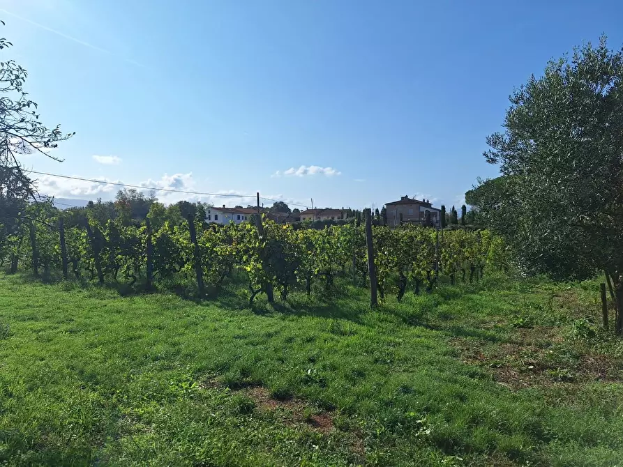 Immagine 18 di Rustico / casale in vendita  a Castelfranco Di Sotto