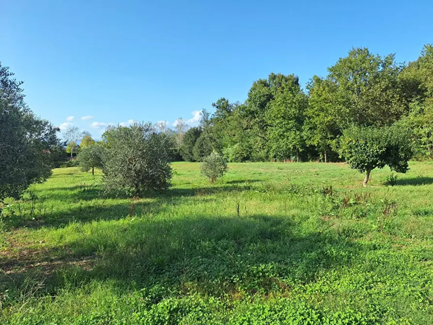 Immagine 17 di Rustico / casale in vendita  a Castelfranco Di Sotto