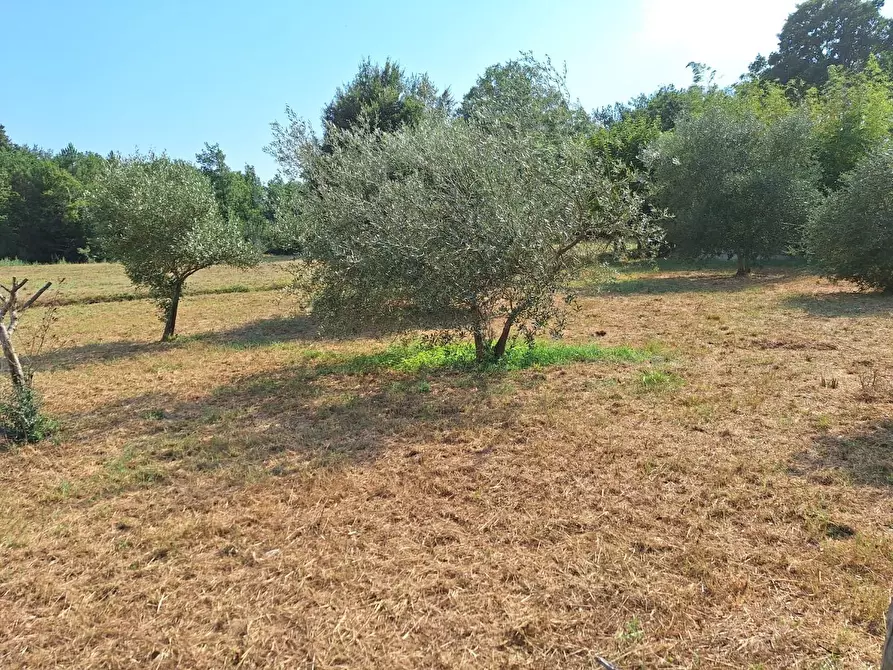 Immagine 64 di Rustico / casale in vendita  a Castelfranco Di Sotto