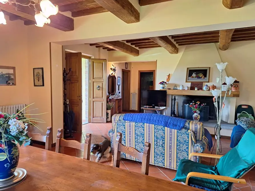 Immagine 41 di Rustico / casale in vendita  a Castelfranco Di Sotto