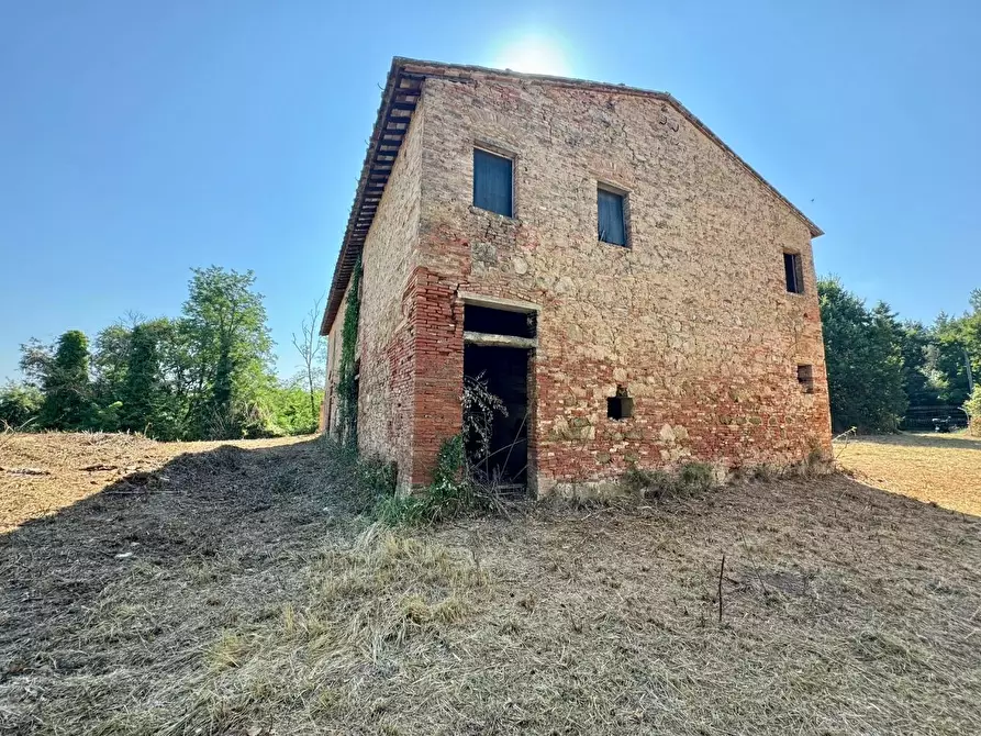 Immagine 11 di Casa colonica in vendita  a Pontedera
