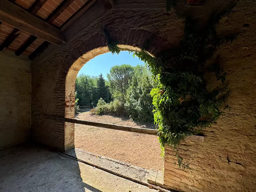 Immagine 7 di Casa colonica in vendita  a Pontedera
