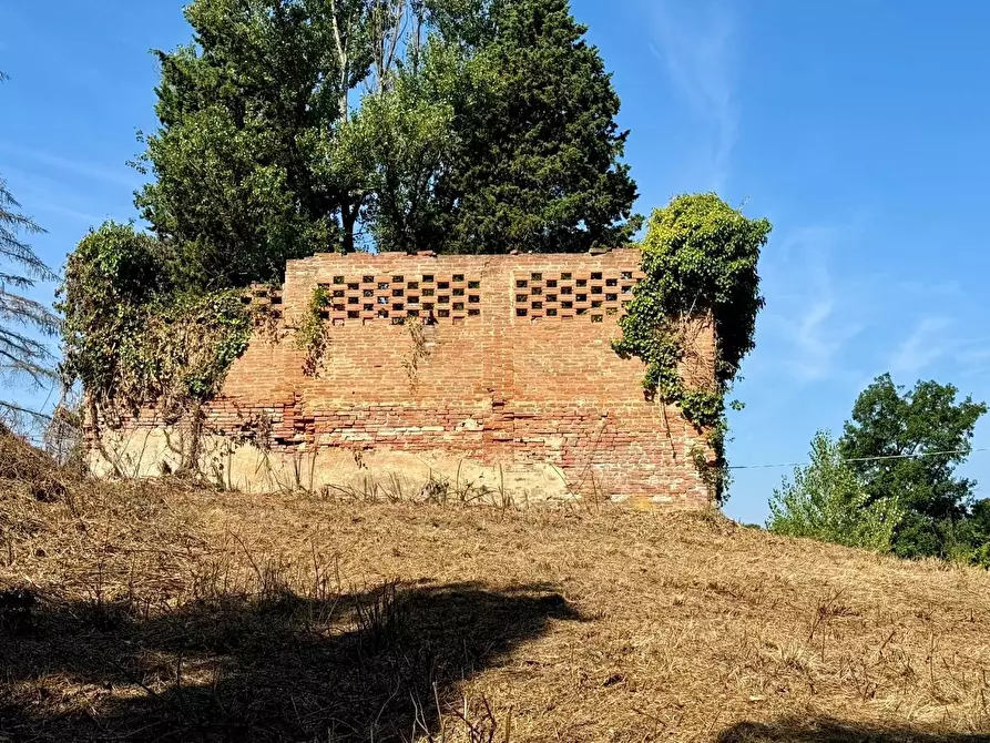 Immagine 13 di Casa colonica in vendita  a Pontedera
