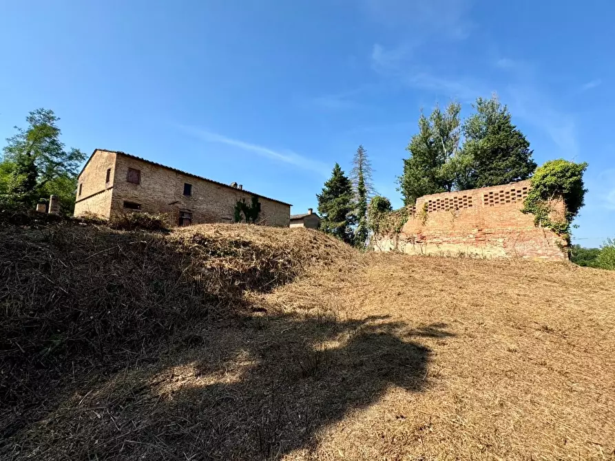 Immagine 19 di Casa colonica in vendita  a Pontedera