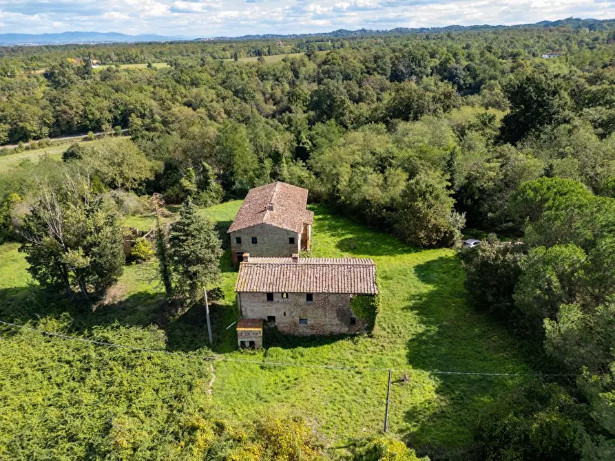 Immagine 21 di Casa colonica in vendita  a Pontedera