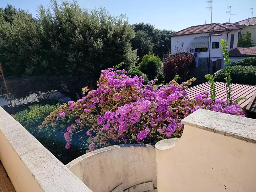 Immagine 2 di Appartamento in vendita  a Rosignano Marittimo