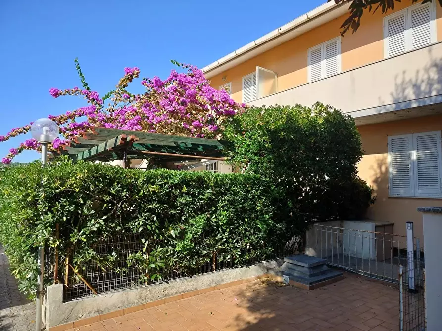 Immagine 4 di Appartamento in vendita  a Rosignano Marittimo