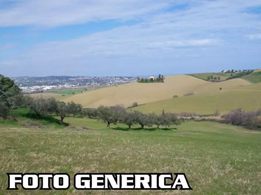 Immagine 1 di Terreno agricolo in vendita  a Vecchiano