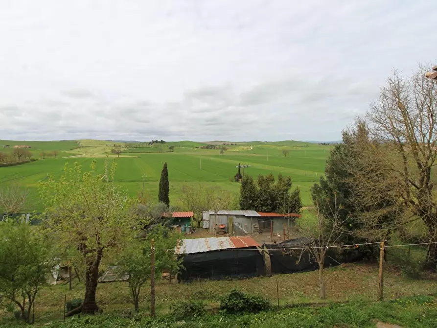 Immagine 32 di Appartamento in vendita  a Monteroni D'arbia