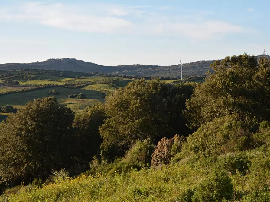 Immagine 20 di Magazzino in vendita  a Luogosanto