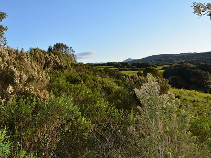 Immagine 23 di Magazzino in vendita  a Luogosanto