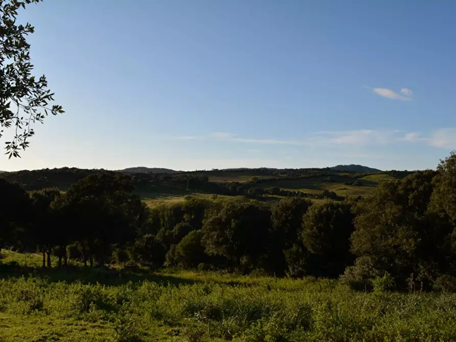 Immagine 8 di Magazzino in vendita  a Luogosanto