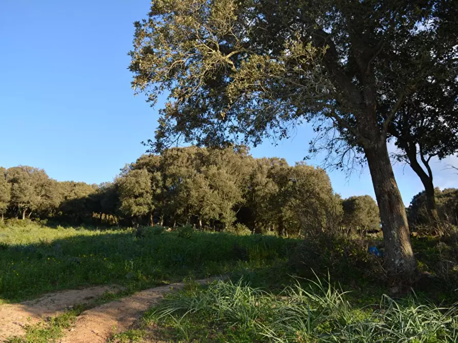 Immagine 3 di Magazzino in vendita  a Luogosanto