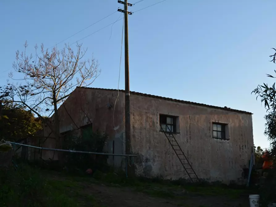 Immagine 29 di Magazzino in vendita  a Luogosanto