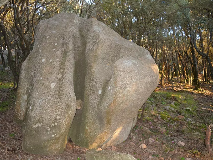 Immagine 30 di Magazzino in vendita  a Luogosanto