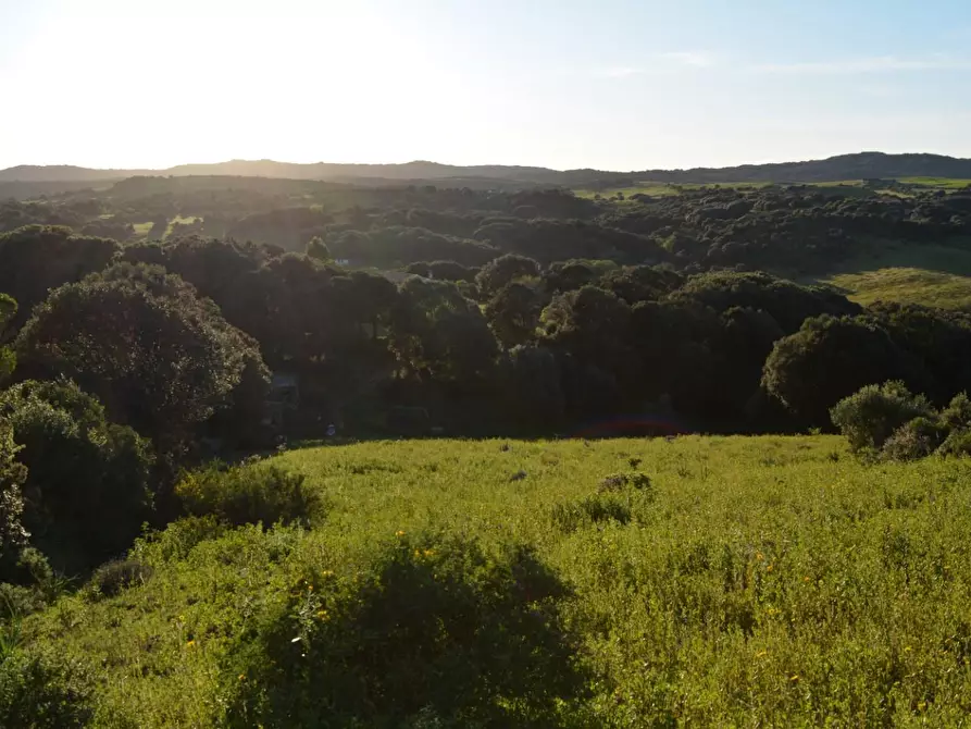 Immagine 21 di Magazzino in vendita  a Luogosanto