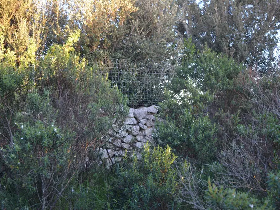 Immagine 39 di Magazzino in vendita  a Luogosanto