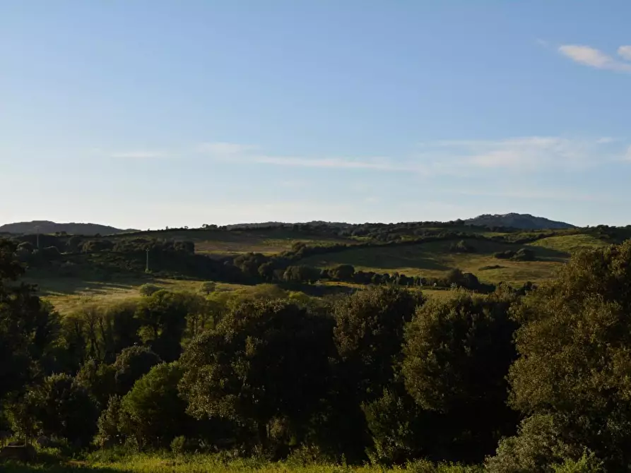 Immagine 9 di Magazzino in vendita  a Luogosanto