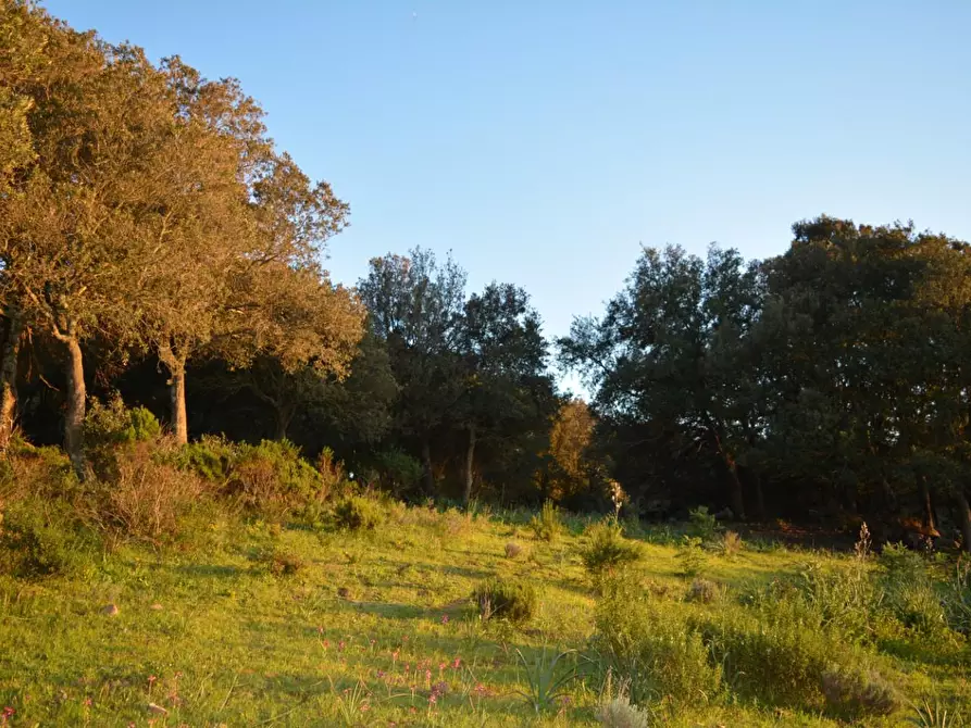 Immagine 41 di Magazzino in vendita  a Luogosanto